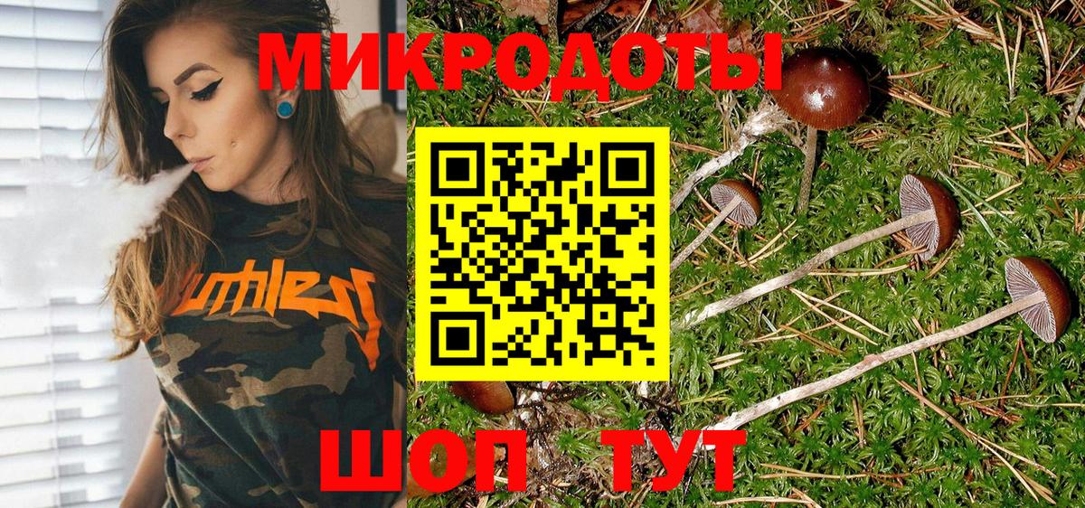 Строитель  Псилоцибиновые грибы прущие грибы  купить наркоту  Вход с VPN 