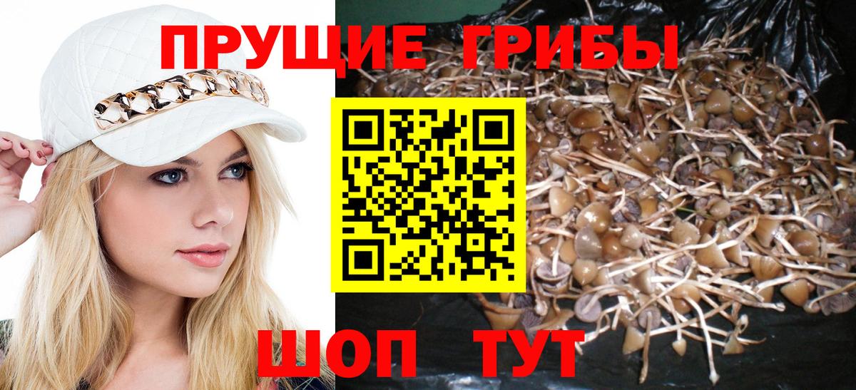 Галлюциногенные грибы мухоморы Строитель